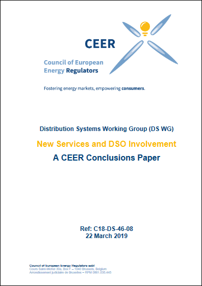 Conclusions Paper on New Services and DSO Involvement