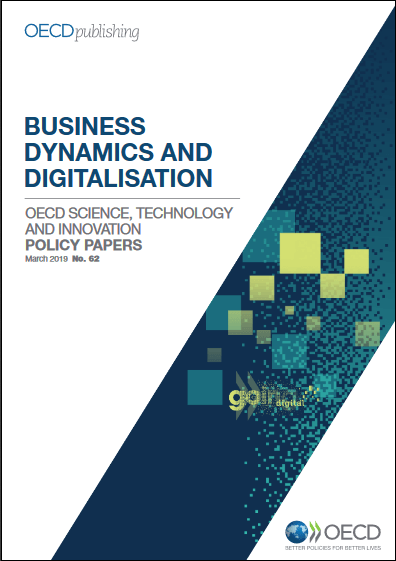 Business dynamics and digitalisation