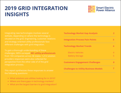 2019 grid integration insights