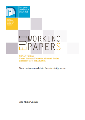 New business models in the electricity sector