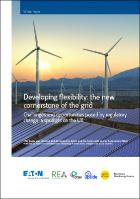 Challenges and opportunities posed by regulatory change: a spotlight on the UK