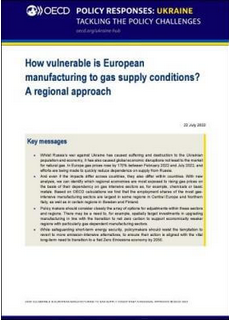 How vulnerable is European manufacturing to gas supply conditions?