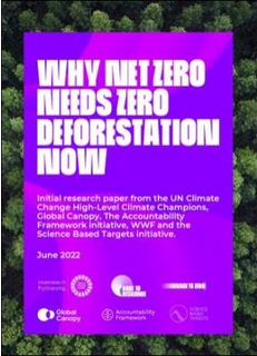 Why net zero needs deforestation now