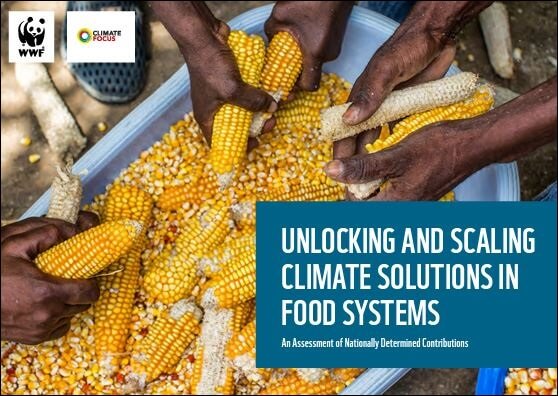 UNLOCKING AND SCALING CLIMATE SOLUTIONS IN FOOD SYSTEMS An Assessment of Nationally Determined Contributions