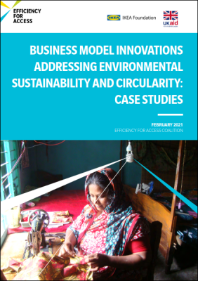 Business Model Innovations project