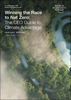 Winning the Race to Net Zero: The CEO Guide to Climate Advantage
