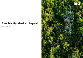Electricity Market Report