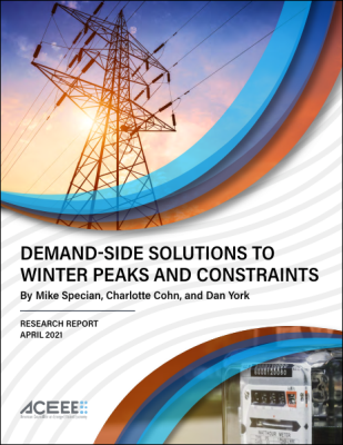 Demand-Side Solutions to Winter Peaks and Constraints