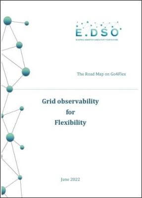 Grid-Observability-For-Flexibility-Report.jpg