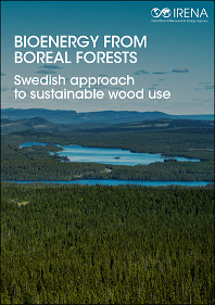 Bioenergy from boreal forests: Swedish approach to sustainable wood use