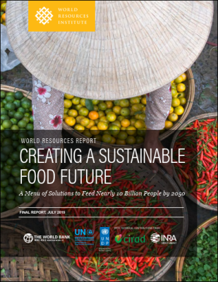 CREATING A SUSTAINABLE FOOD FUTURE