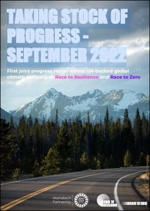 Global Campaigns Progress Report