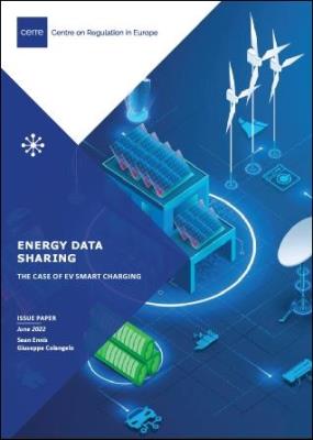 Weathering the storm: the call for microgrids in the new energy landscape