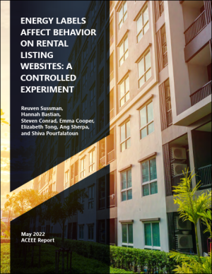 Energy Labels Affect Behavior on Rental Listing Websites: A Controlled Experiment
