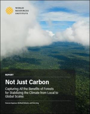 Not Just Carbon: Capturing All the Benefits of Forests for Stabilizing the Climate from Local to Global Scales