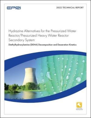 Hydrazine Alternatives for the Pressurized Water Reactor/Pressurized Heavy Water Reactor Secondary Syste