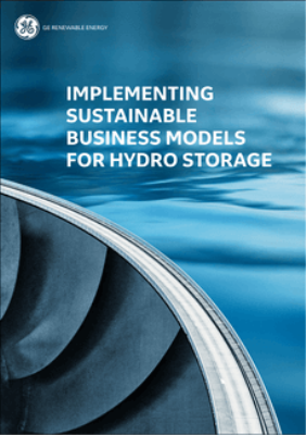 IMPLEMENTING SUSTAINABLE BUSINESS MODELS FOR HYDRO STORAGE