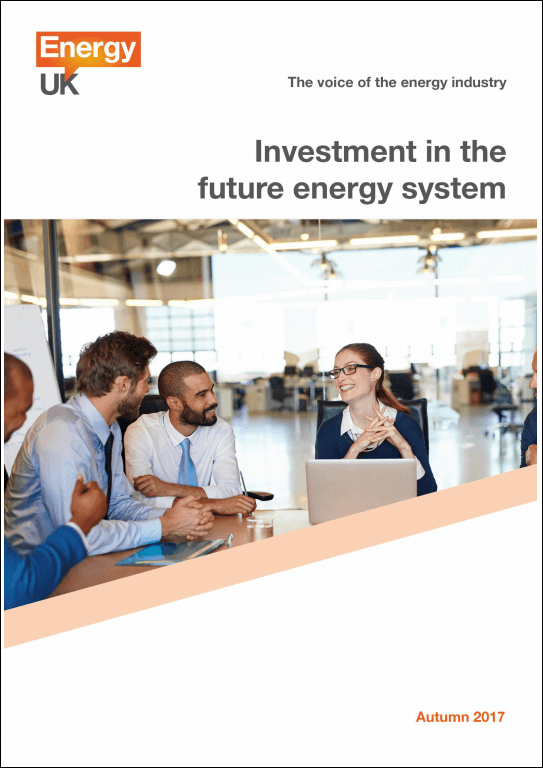 Investment in the future energy system