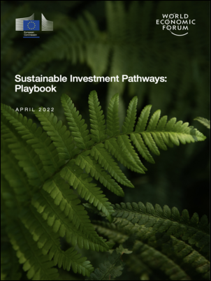 Sustainable Investment Pathways: Playbook