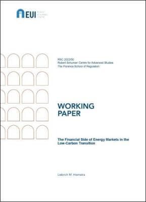 The financial side of energy markets in the low-carbon transition