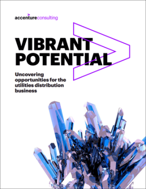 Vibrant future for utility distribution businesses