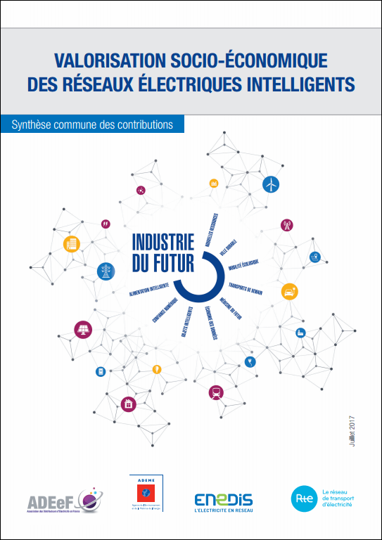 Valorisation socio-économique des réseaux électriques intelligents