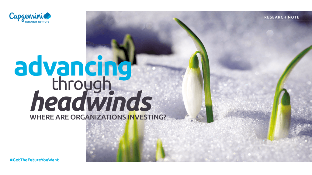 Advancing through headwinds: where are organizations investing?