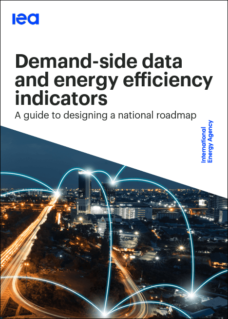 Demand-side data and energy efficiency indicators - Colombia Inteligente
