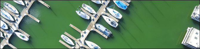 European ports: the green energy hubs of the future