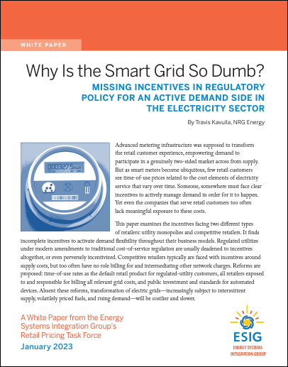 Why Is the Smart Grid So Dumb? MISSING INCENTIVES IN REGULATORY POLICY FOR AN ACTIVE DEMAND SIDE IN THE ELECTRICITY SECTOR