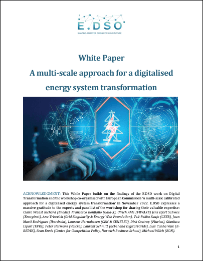 A Multi-Scale Approach For A Digitalised Energy System Transformation