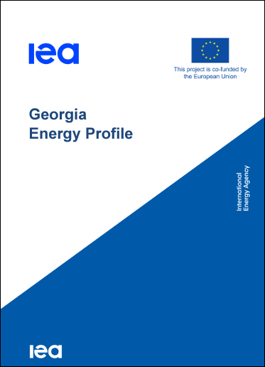 Georgia energy profile