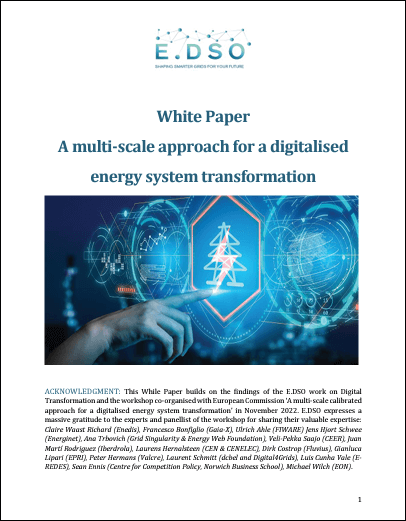 White Paper: A Multi-Scale Approach For A Digitalised Energy System Transformation