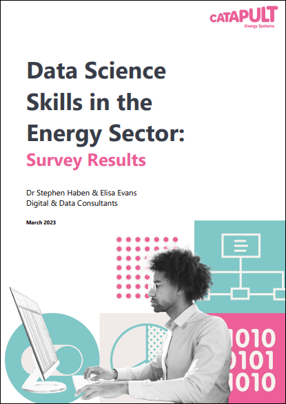 Data Science Skills in the Energy Sector: Survey Results