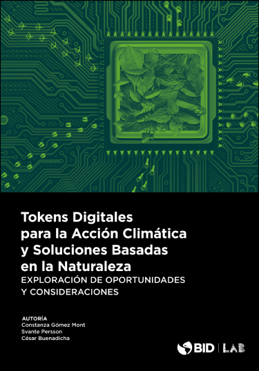 Digital Tokens for Climate Action and Nature-Based Solutions: Exploration of Opportunities and Considerations