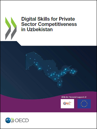 Digital-Skills-for-Private-Sector-Competitiveness-in-Uzbekistan.png