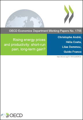 Rising energy prices and productivity: short-run pain, long-term gain?
