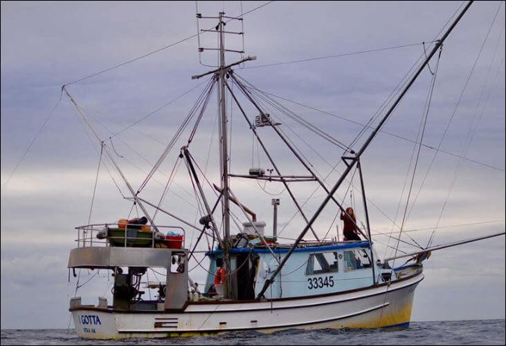 Battery-Electric-Fishing-Vessel-Marks-a-Sea-Change-for-Small-Commercial-Fishers.jpg