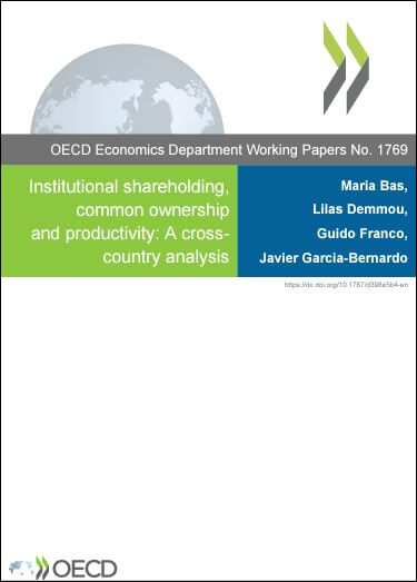 Institutional shareholding, common ownership and productivity
