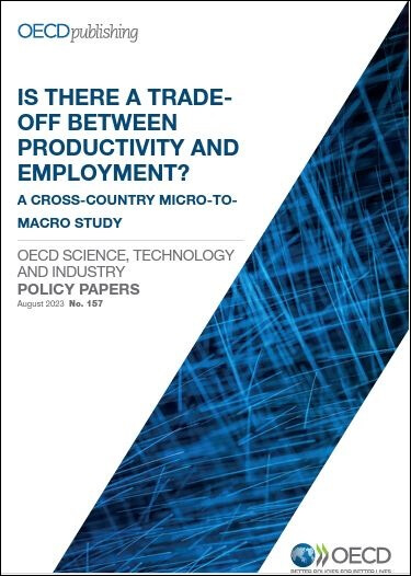 Is there a trade-off between productivity and employment?