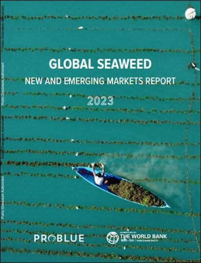 New-and-Emerging-Markets-Report-2023.jpg