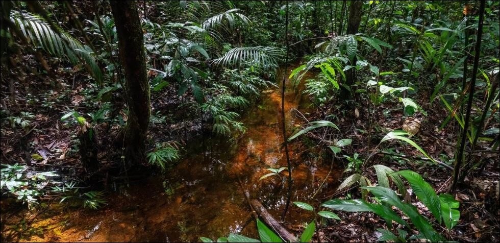 ‘Getting a handle’ on a potent climate threat