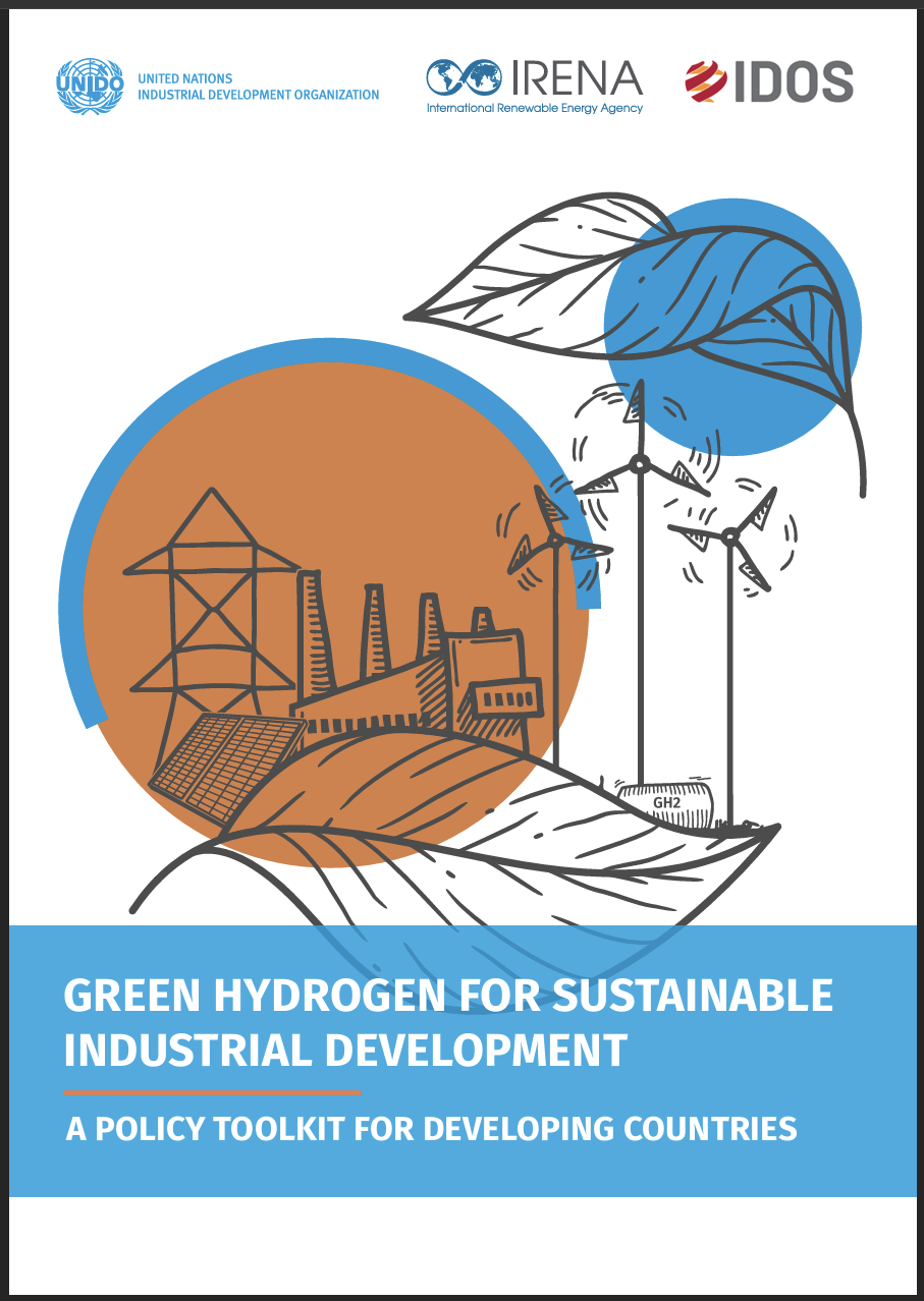 Green hydrogen for sustainable industrial development: A policy toolkit for developing countries
