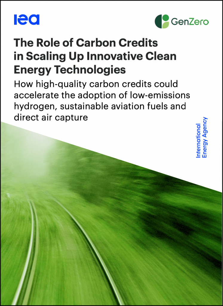 The Role of Carbon Credits in Scaling Up Innovative Clean Energy ...