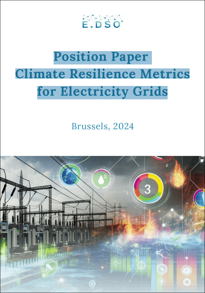 Position Paper Climate Resilience Metrics for Electricity Grids