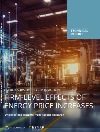 ENERGY SUBSIDY REFORM IN ACTION FIRM-LEVEL EFFECTS OF ENERGY PRICE INCREASES