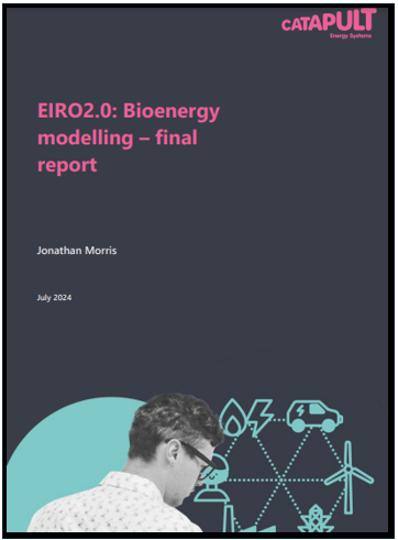 EIRO2.0: Bioenergy Modelling 