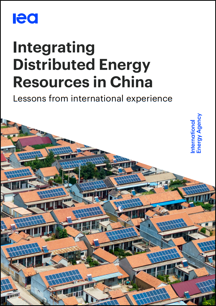 Integrating Distributed Energy Resources in China: Lessons from ...