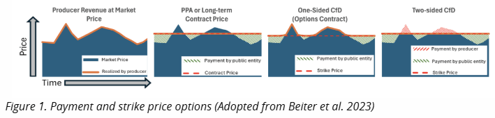 Payment and strike price options (Adopted from Beiter et al. 2023)