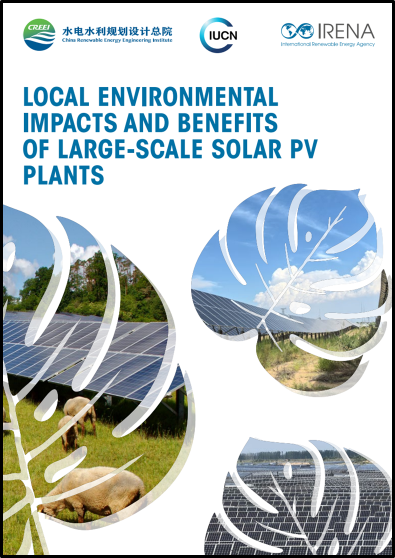 Local environmental effects and benefits of large-scale solar PV plants